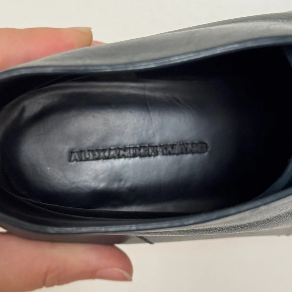 Alexander Wang chic dark
